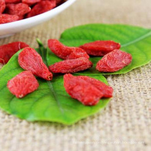 China ningxia Medizinische organische Goji Beere